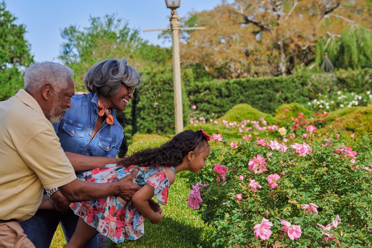 African American. grandparents helping grandaughter balance as she smells roses in the park